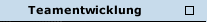 Teamentwicklung